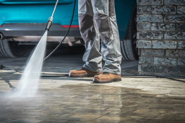 Best Winterizing Services  in Guadalupe, AZ