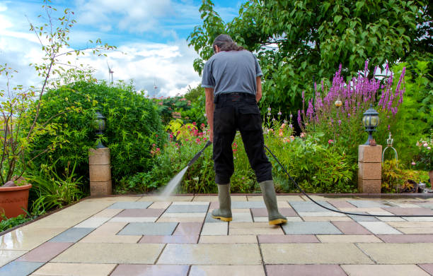 Best Fence Cleaning  in Guadalupe, AZ